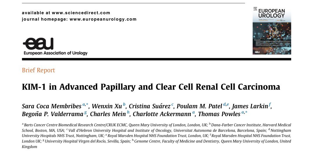Sara Coca Membribes tweet media