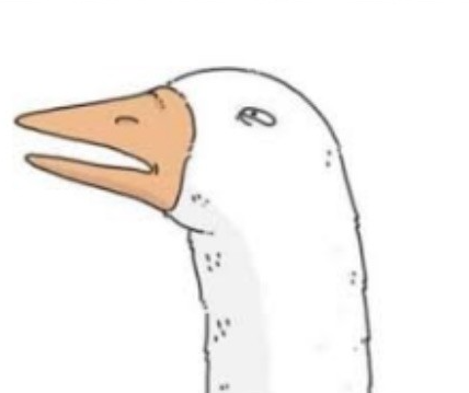 Carl Benjamin 🏴󠁧󠁢󠁥󠁮󠁧󠁿 tweet media