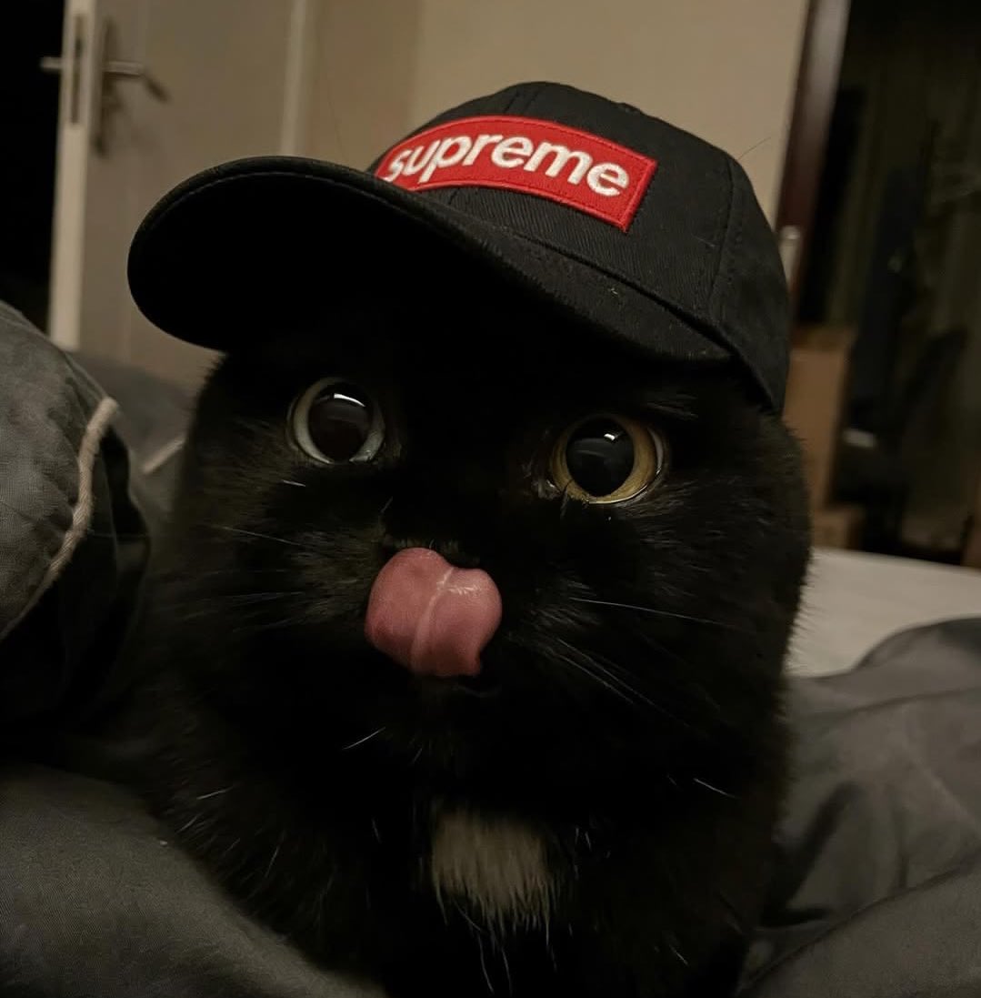 초코 .ᐟ.ᐟ tweet media