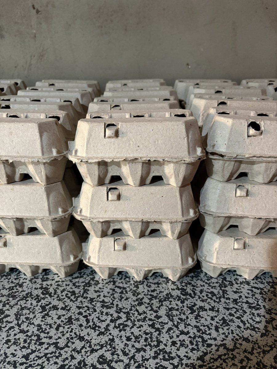 Mkabayi Ka Jama 🌸 tweet media