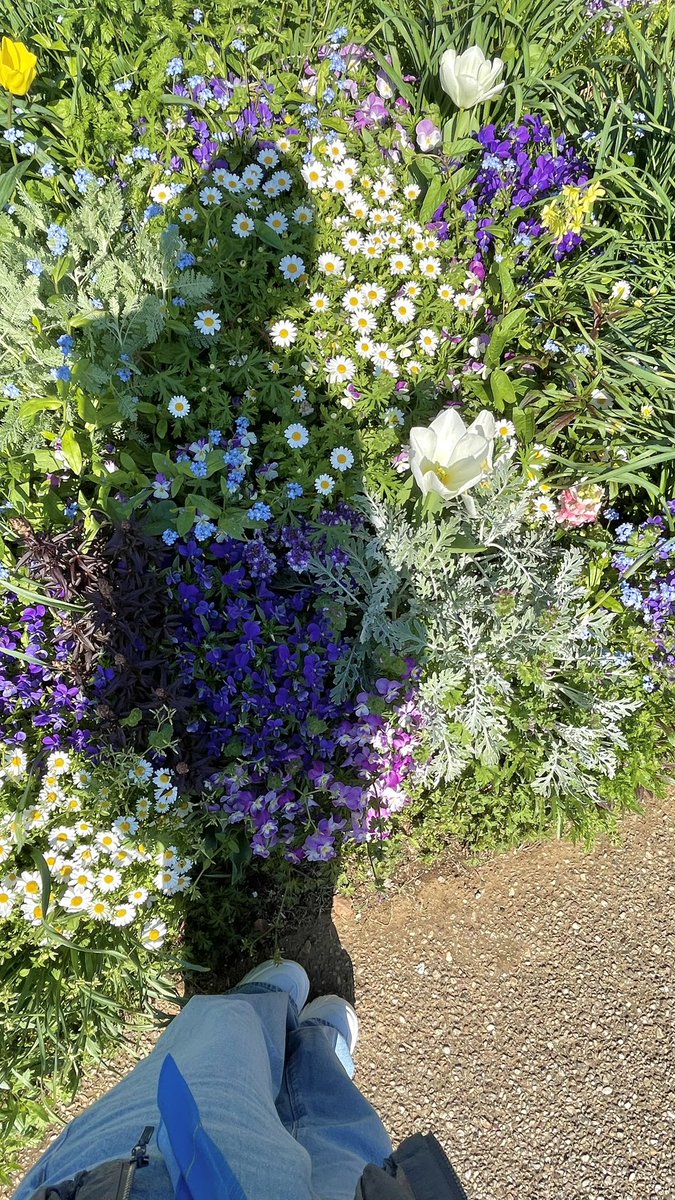 ころね。 tweet media