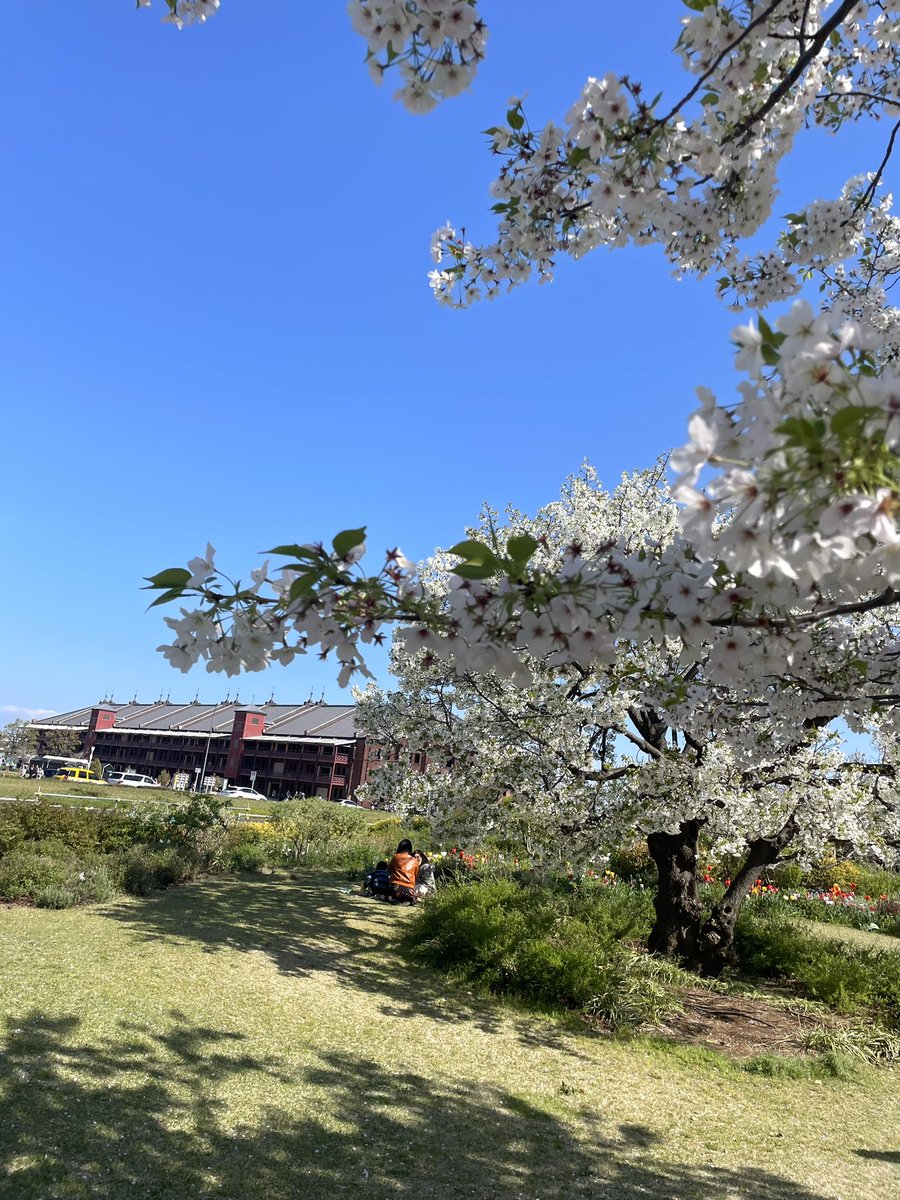 ころね。 tweet media