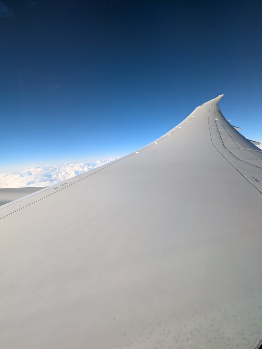 Speedbird Julie ✈️🍾🥂❤️⛸️ tweet media