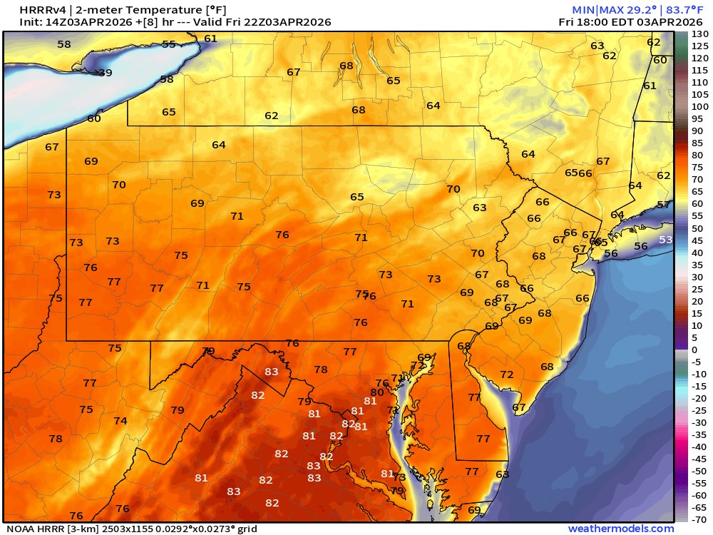 Stephen Eckhardt ☀️ tweet media