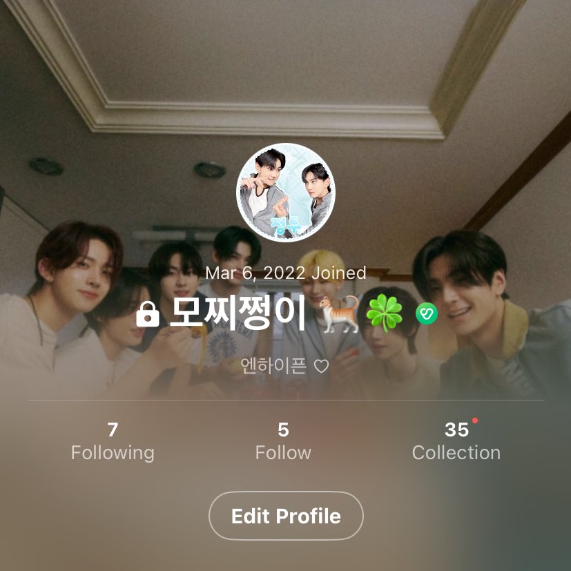 모찌중원 🐈 tweet media