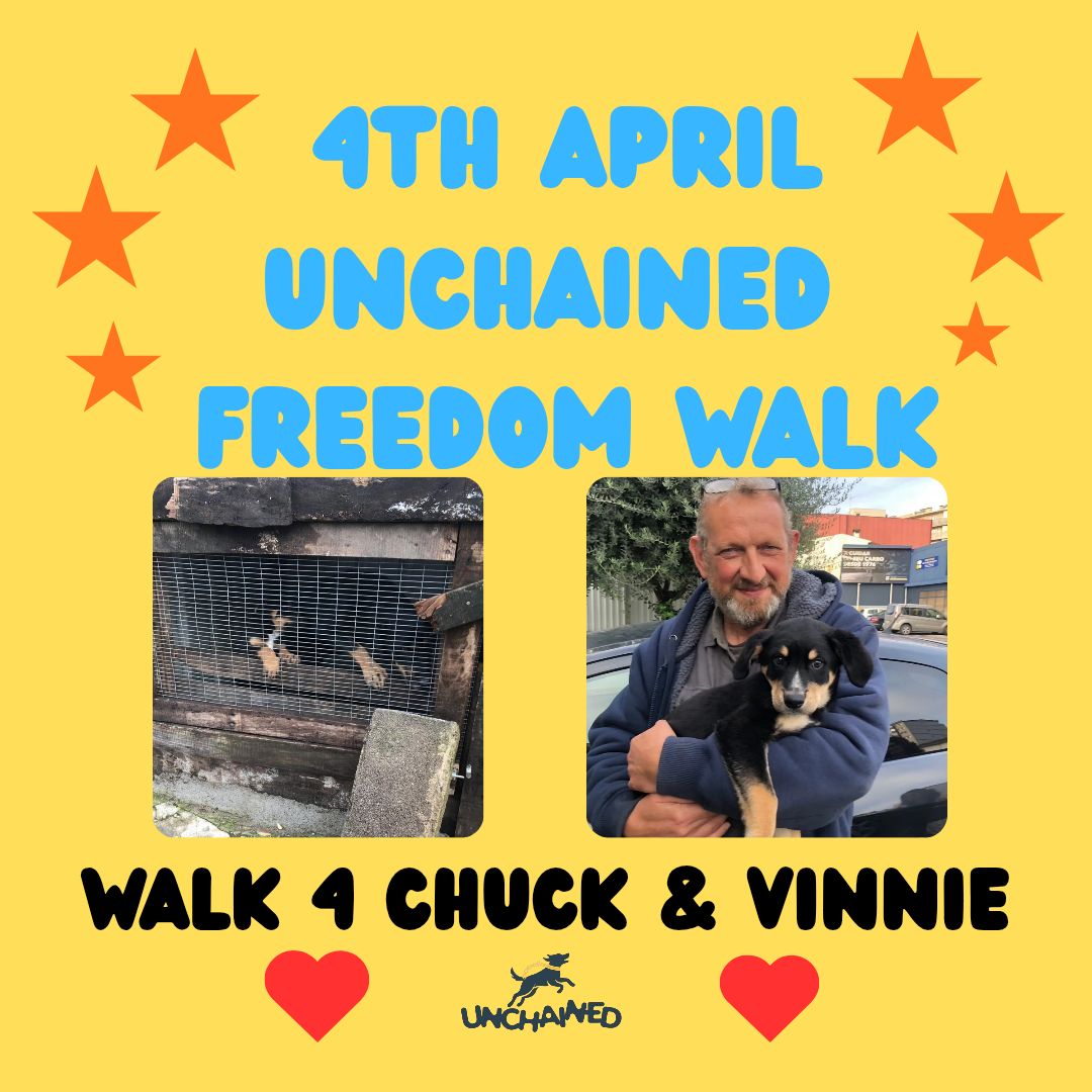 Unchained Dog Rescue tweet media