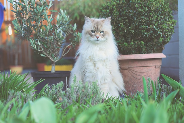 Adam Butler tweet media