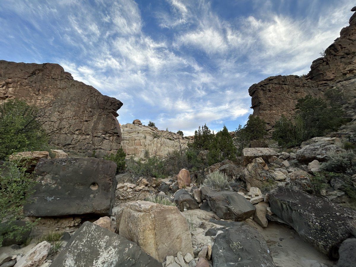 Chris Clements tweet media