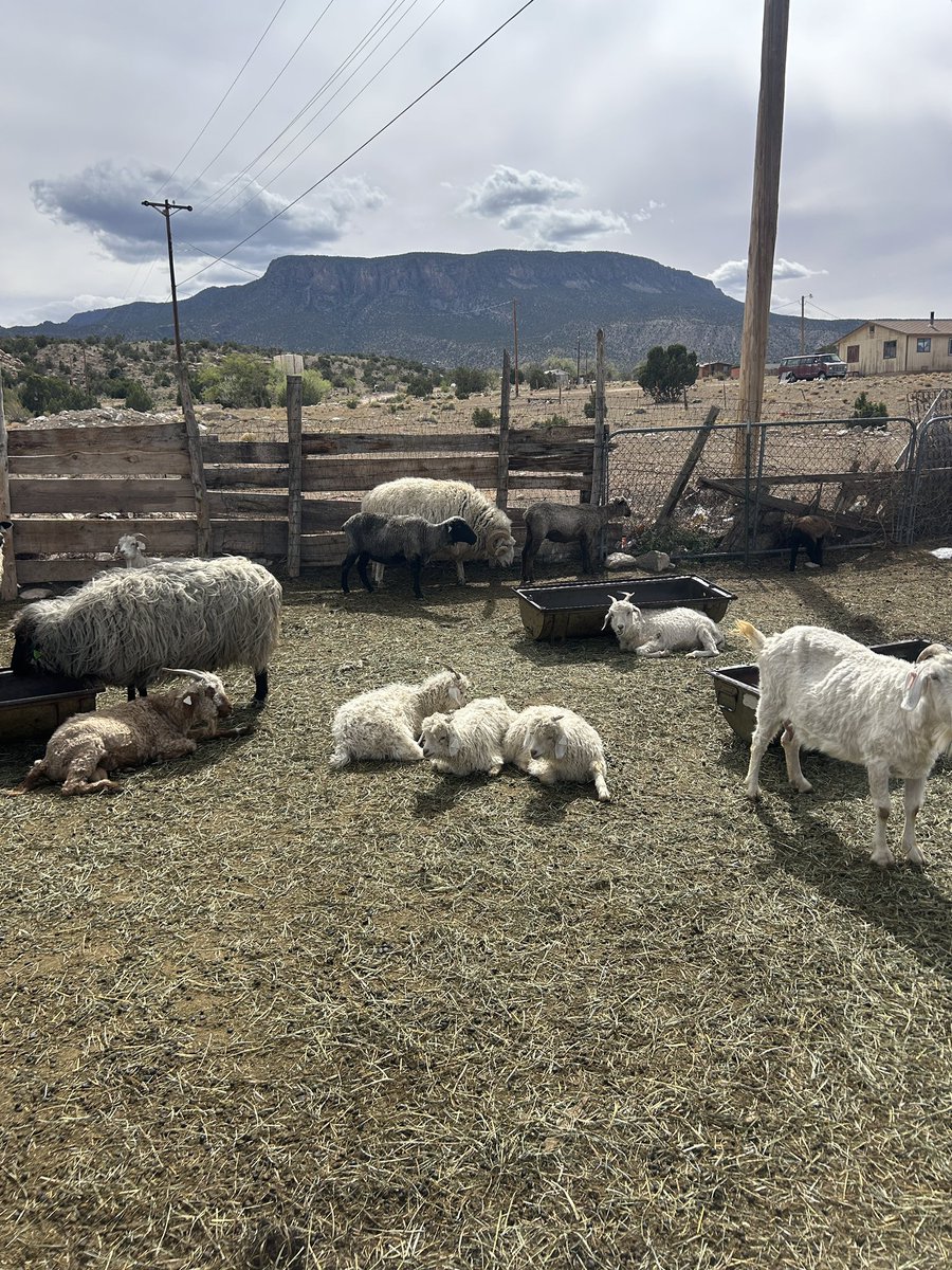 Chris Clements tweet media