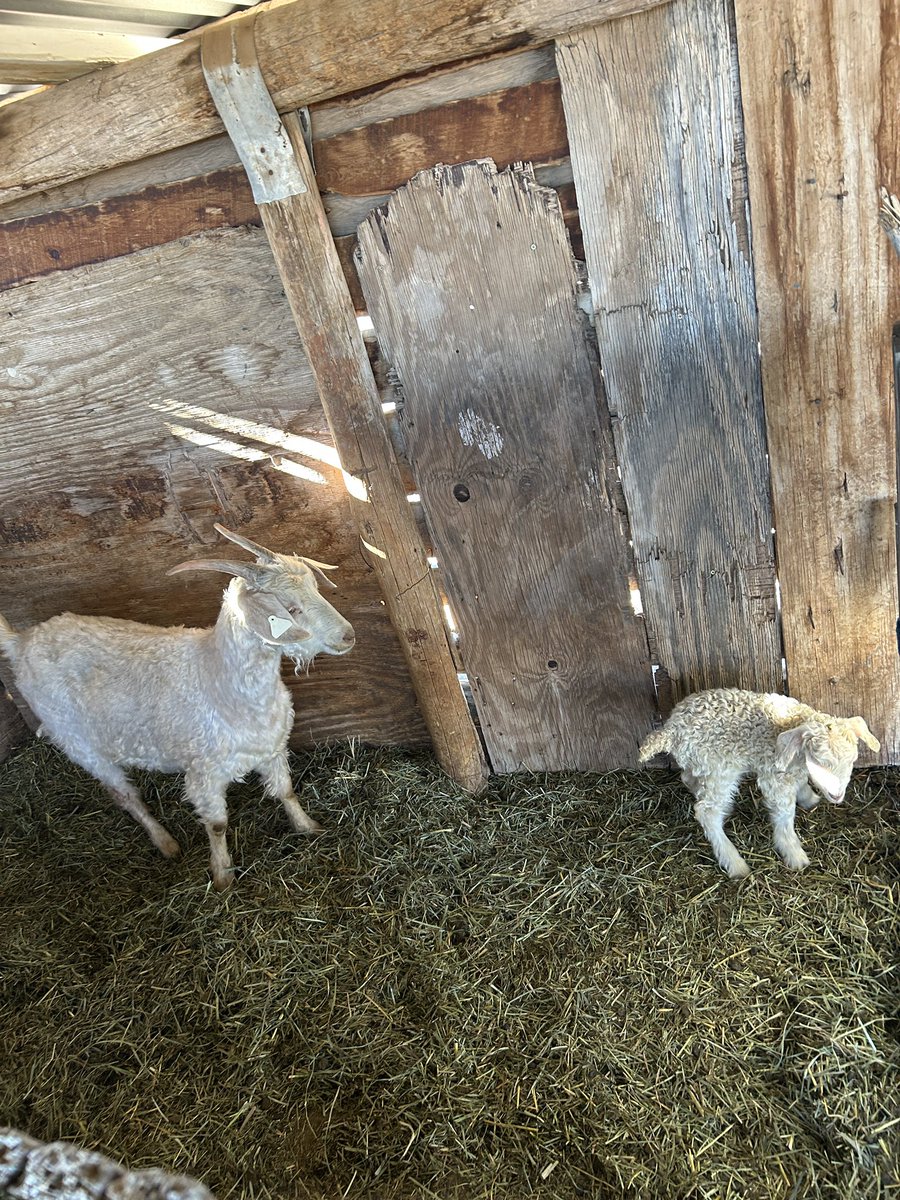 Chris Clements tweet media