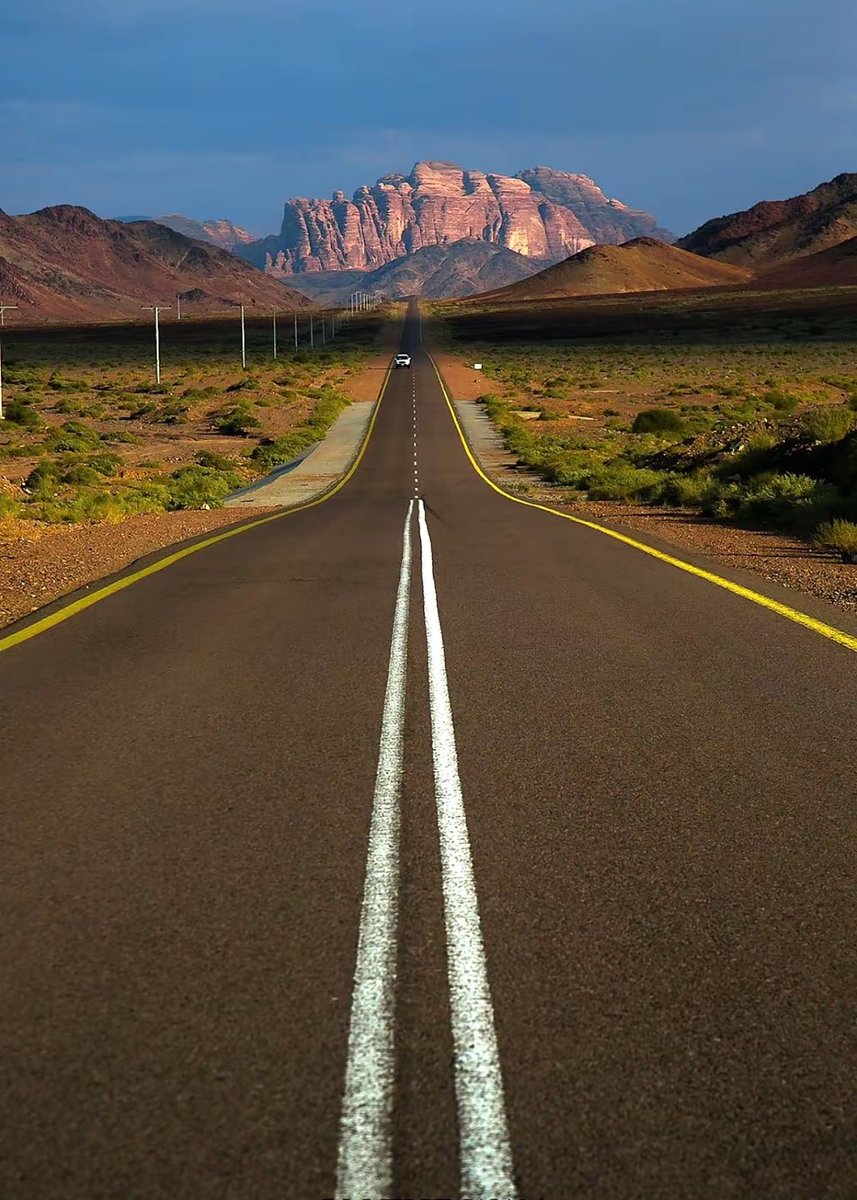 AlShamal Pinterest tweet media