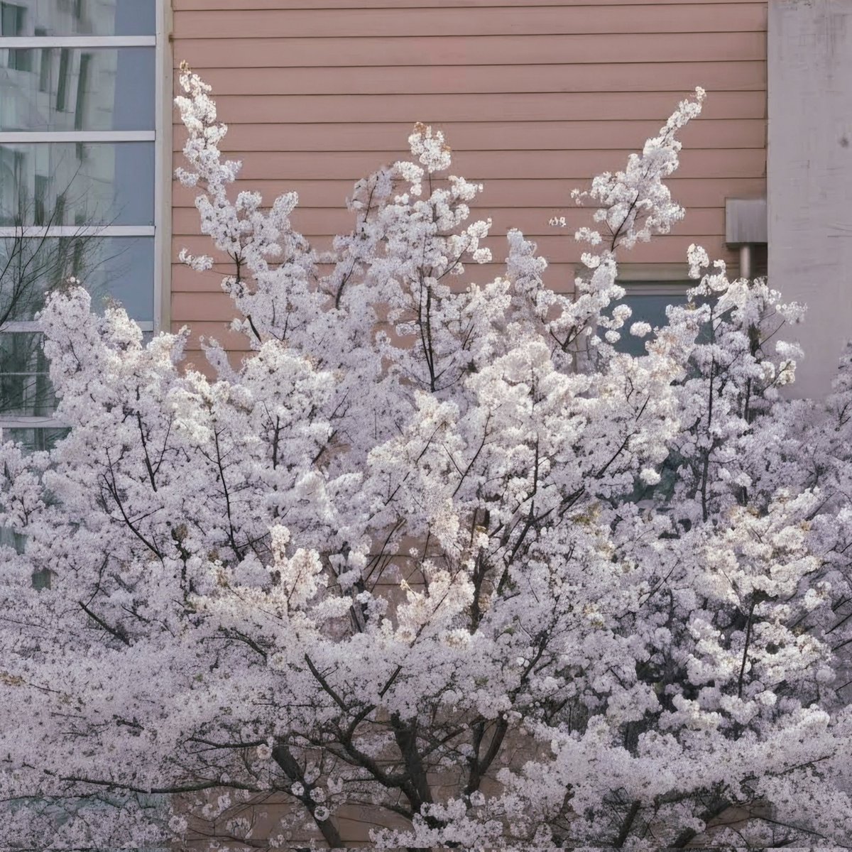 구름☁️ tweet media