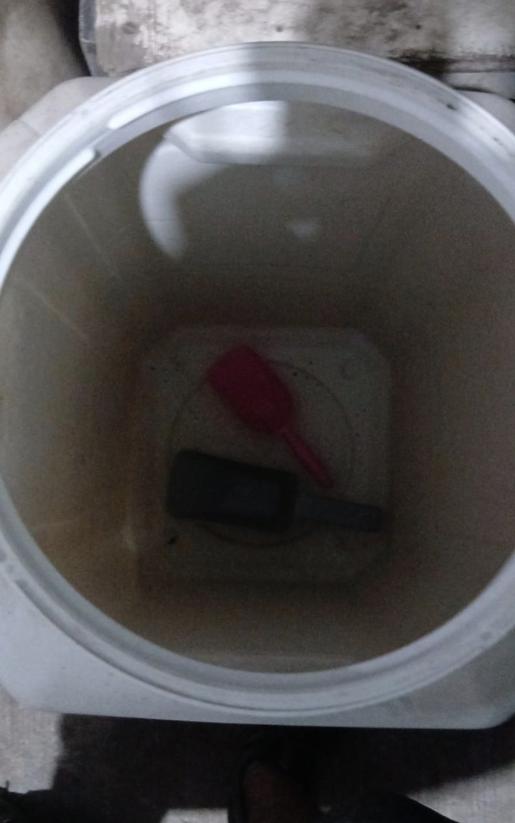 Ellie's House Toluca tweet media