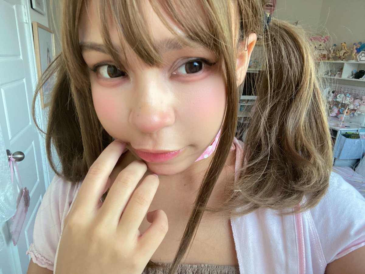 クマ 猫 tweet media