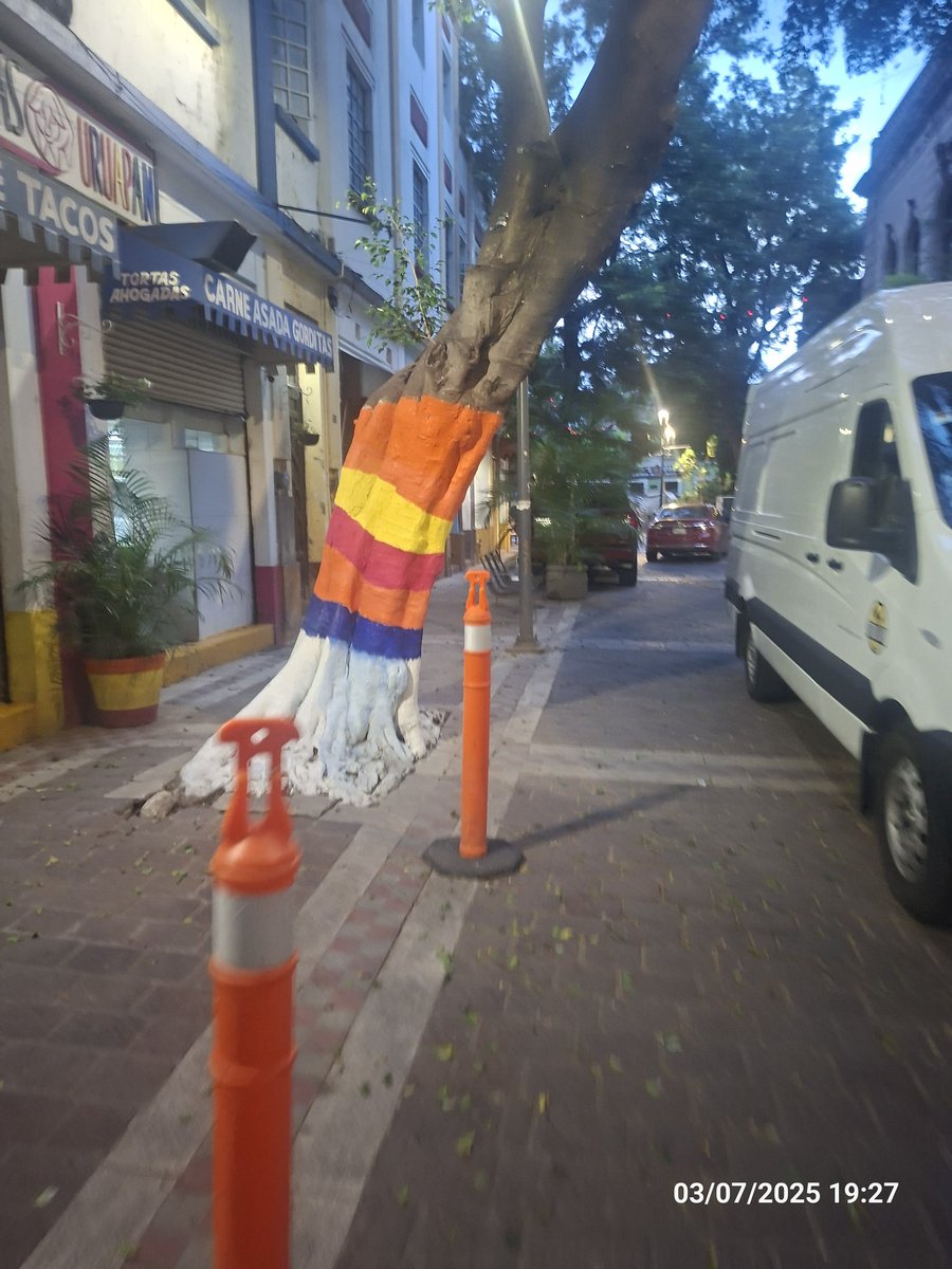 Rojinegra en desacuerdo tweet media