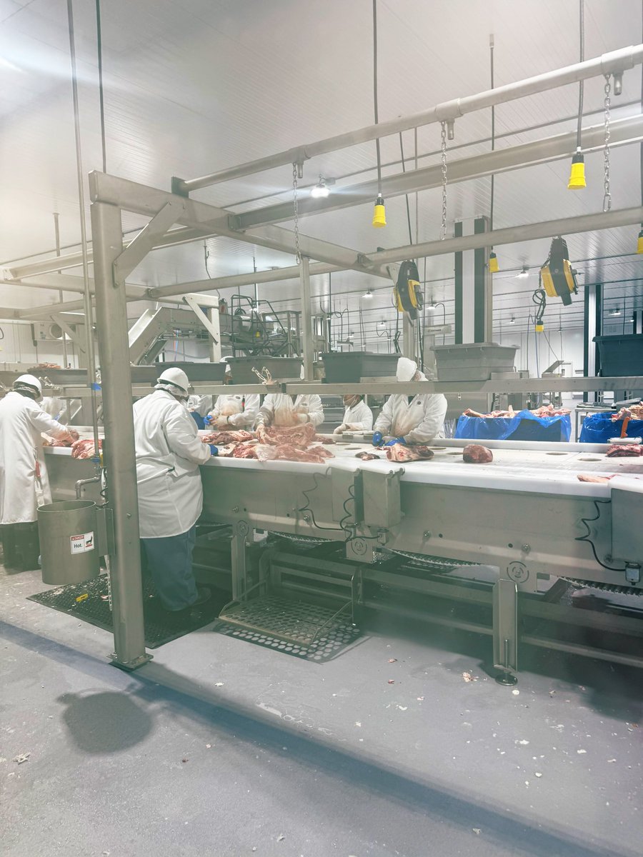 jim hertzog tweet media