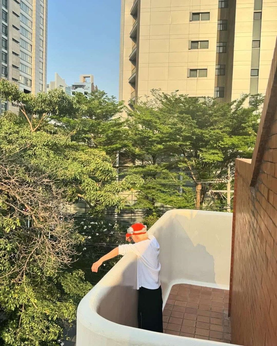 กวางตุ้งเป็นผักชนิดหนึ่ง tweet media