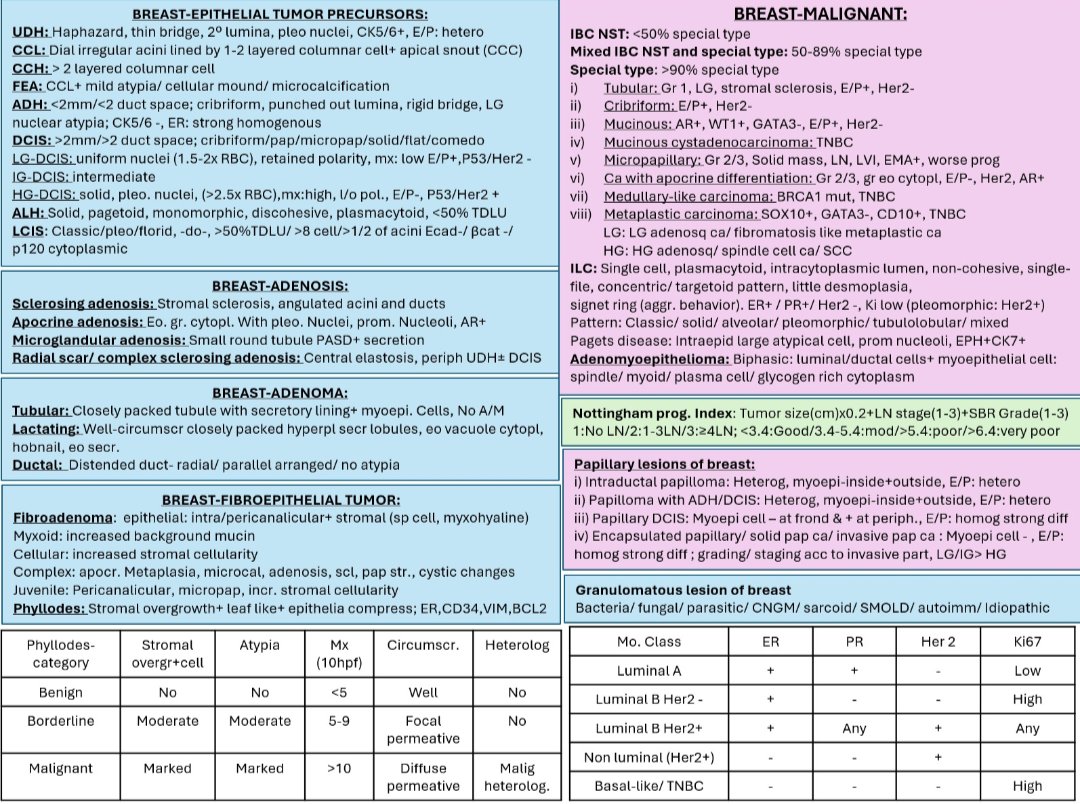 pathognosis22's tweet image. #Breast_path companion #Reporting time, #path #pathology #pathognosis #breast #malignant #benign #molecular