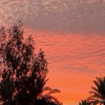 Photo by سُمو (@lioxrs8)