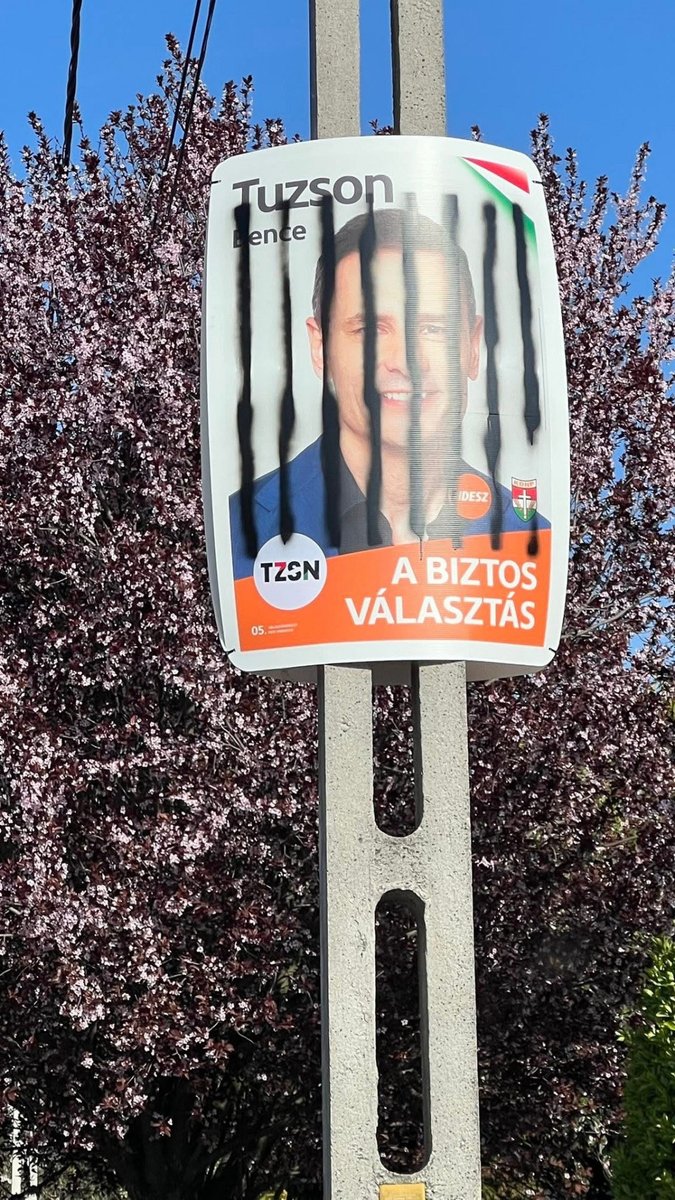 The free soul samurai tweet media