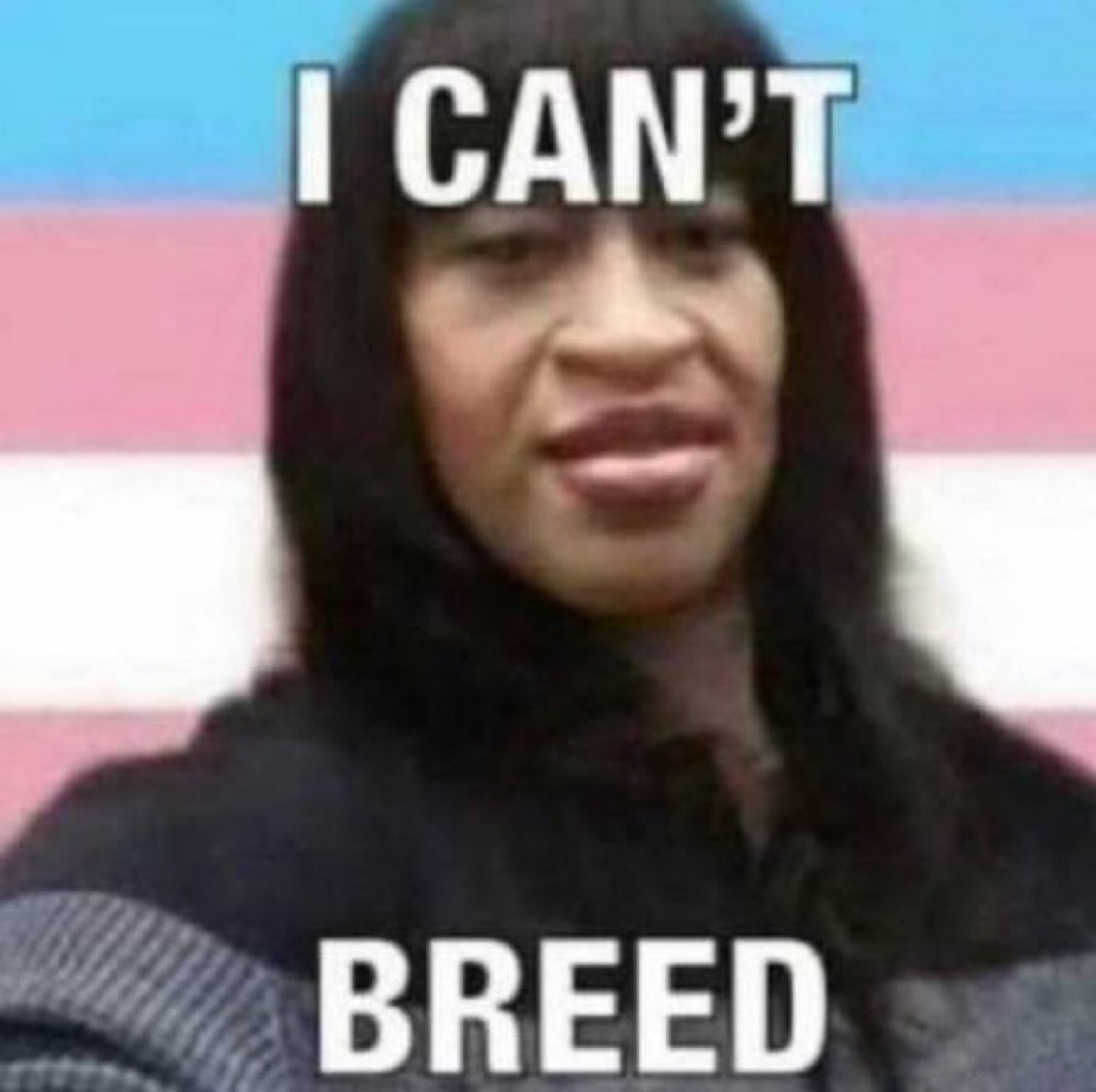 Chitz n Blips tweet media