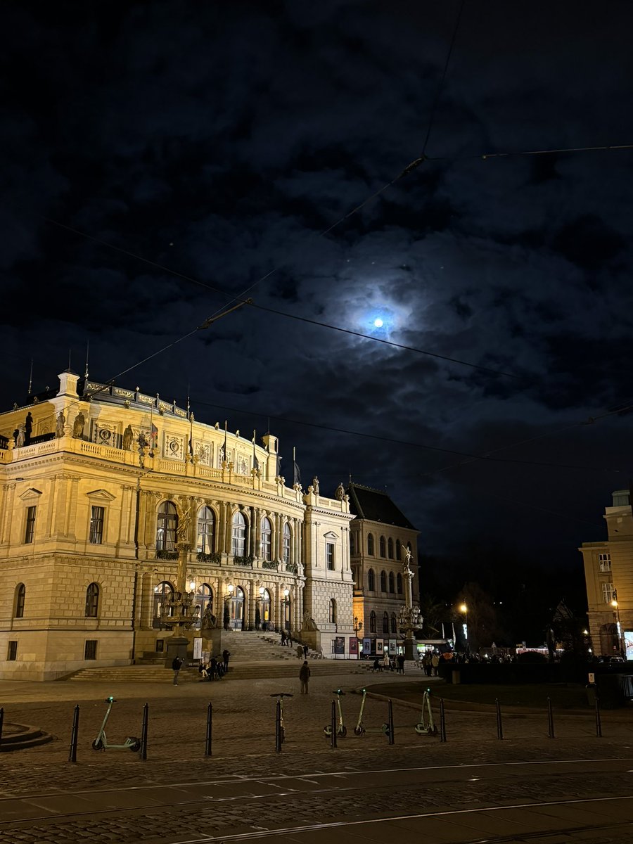 يوسف tweet media