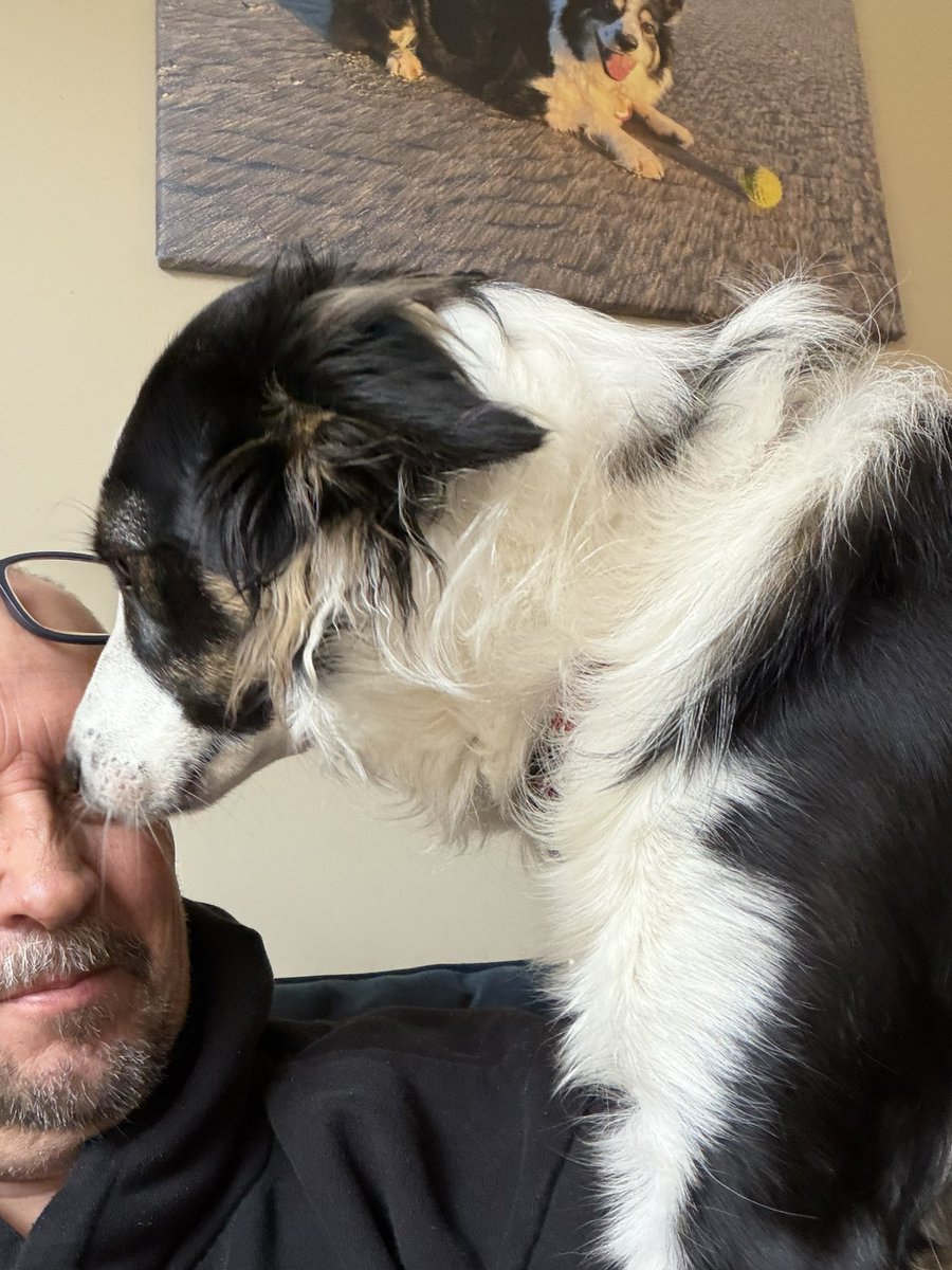 ☠️ Matt 👾 tweet media