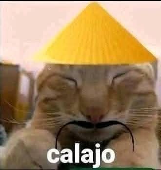 splauta🧉 tweet media