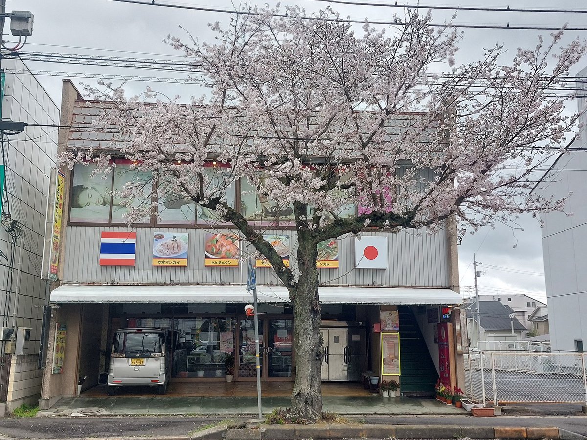 iamnuchcha's tweet photo. タ��古式マッサージ店 #タイ古式マッサージ #タイ古式マッサージ 営業時間 年中無休 11:00-24:00 場所：筑西市香住向い 
308-0841 IBARAKI-KEN CHIKUSEISHI NIKINARI 1395 , 2nd Floor 
Tel : 070-2643-4447
Tel : 0296-54-4160
Website : https://t.co/PYvaq8EVLi https://t.co/FZ3vnEClDg