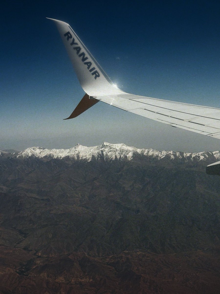 𝔍𝔲𝔫𝔢 🕊️ tweet media