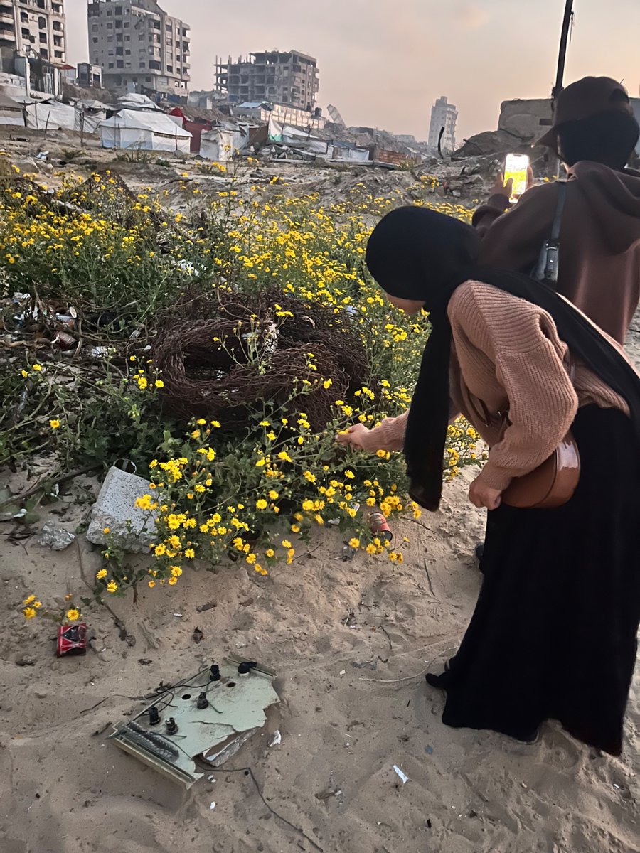 zinah𓂆 tweet media