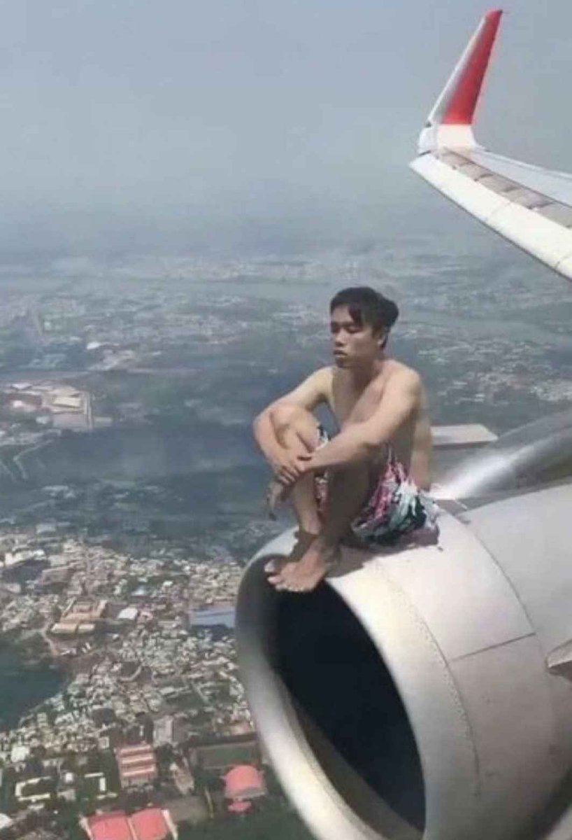 먼지털이 벌레 tweet media