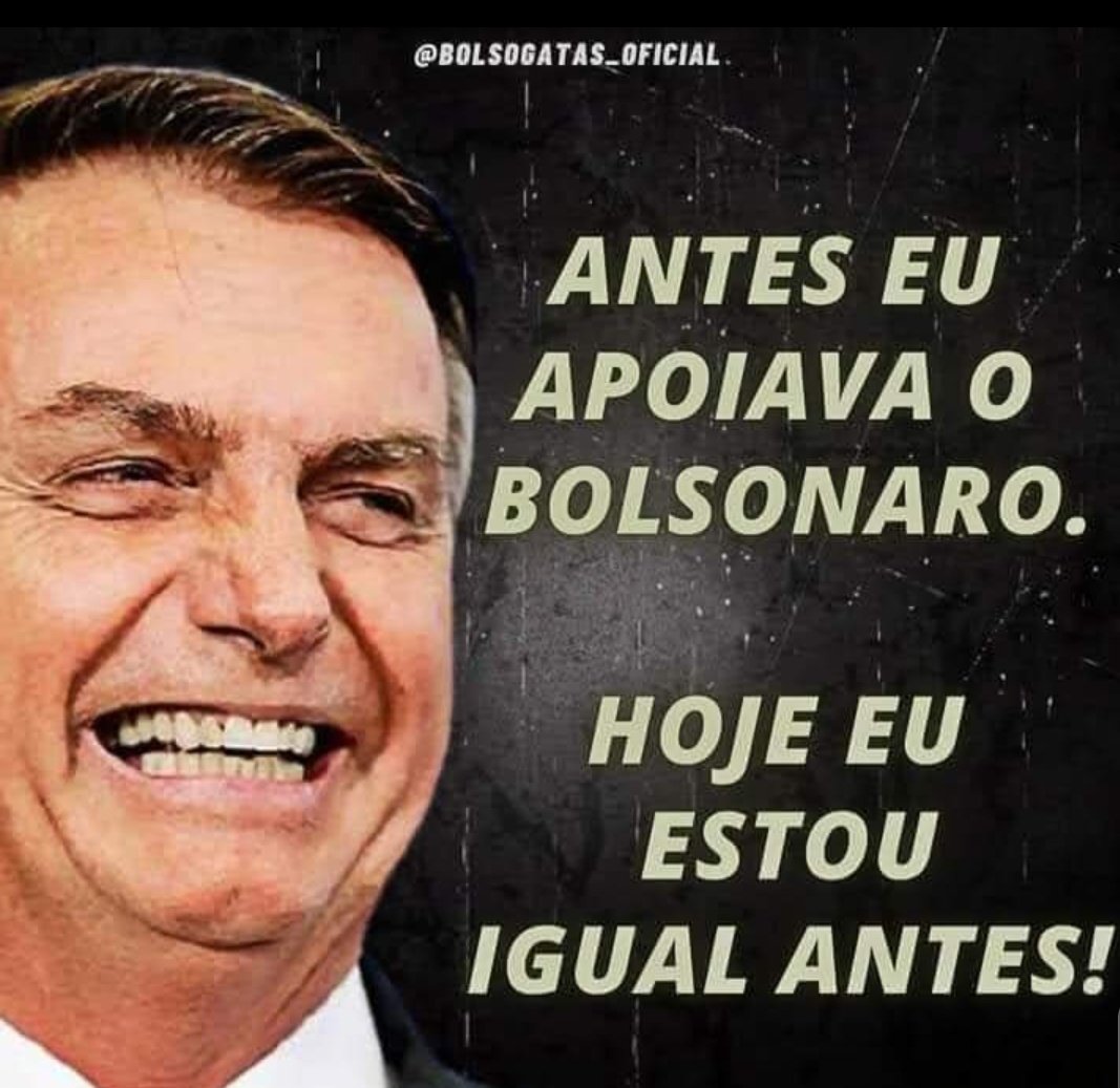 Lu Fermiano💚💛🇧🇷 tweet media