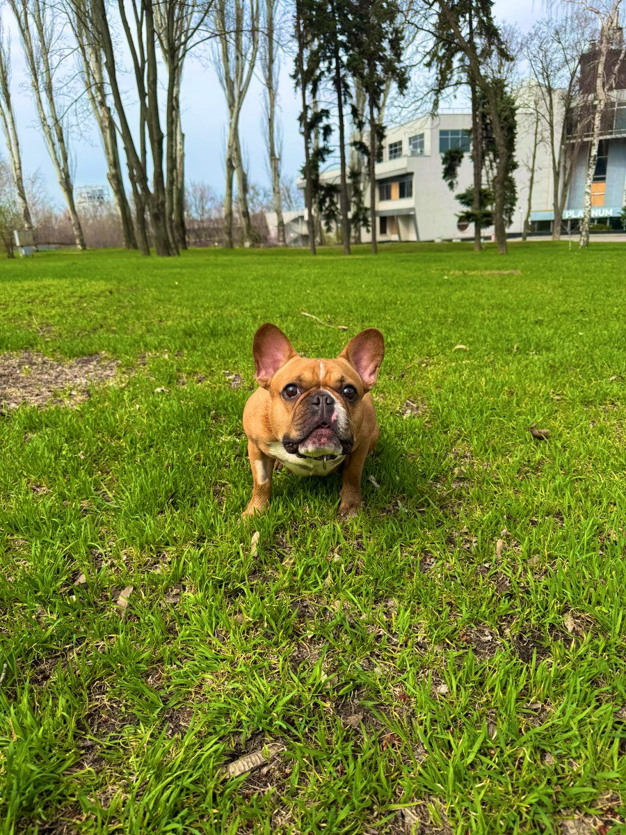 Dima Zapo 🇺🇦 tweet media