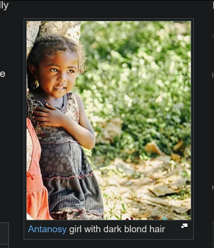 Callicles tweet media