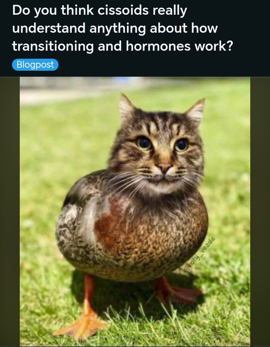 Arusoi29615's tweet photo. I often forget that trans and c!s people live in completely different worlds. Before establishing the existence of trans people in my head, I didn't know much, and I'm more than sure it's by design https://t.co/A8HeHJezzw