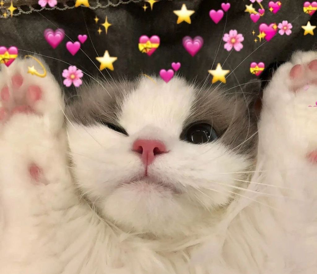 VIXICIOUZ tweet media