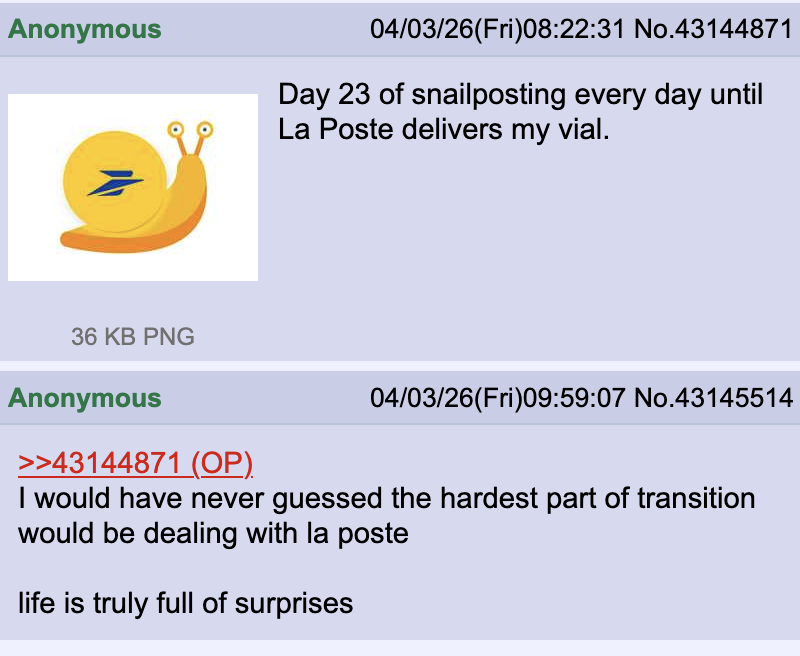 Maya Saura tweet media