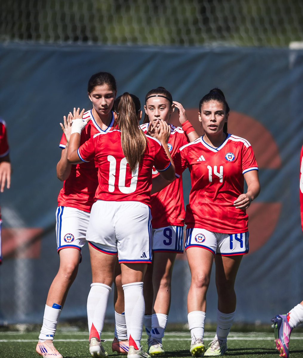 Selección Chilena tweet media
