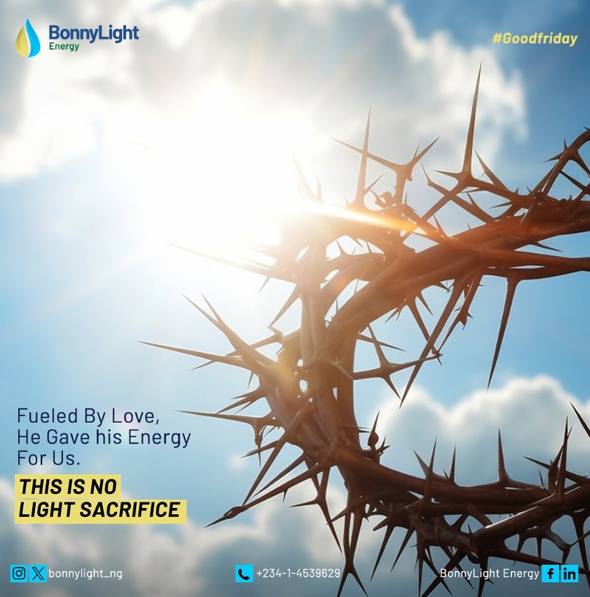 Bonnylight_NG's tweet photo. https://t.co/Q17ksr2Er0