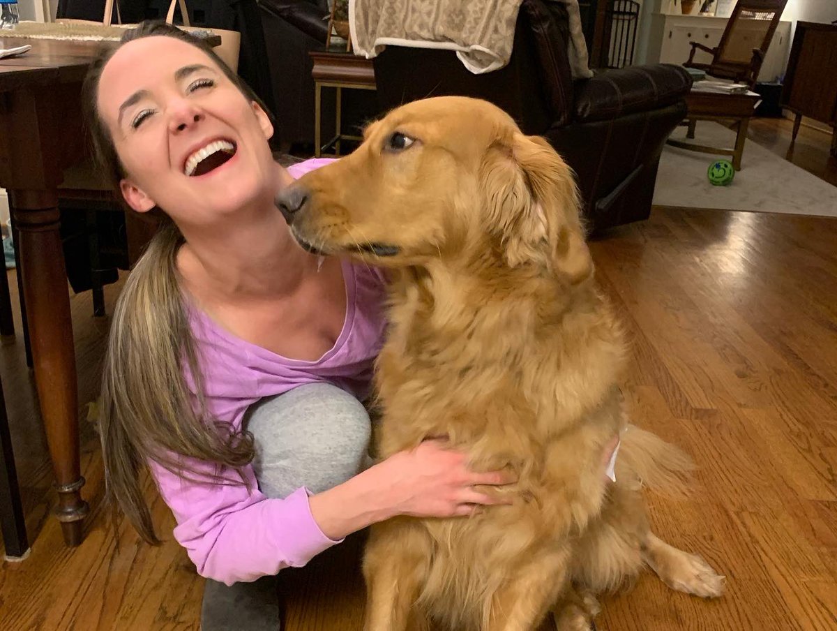 Mike Gillespie tweet media