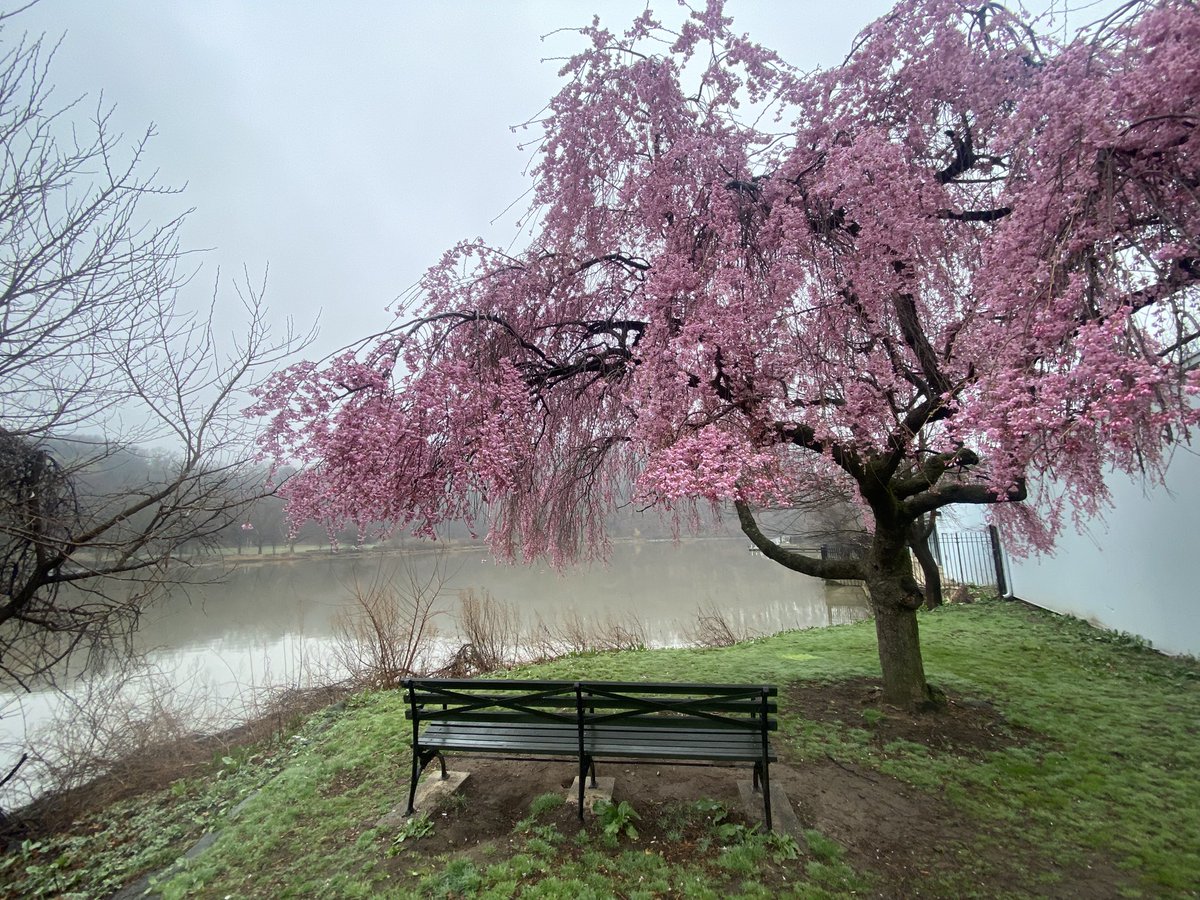 Charlie Corr tweet media