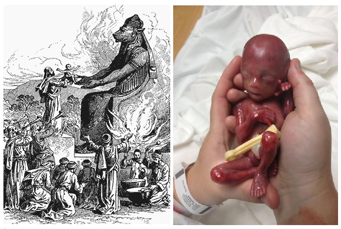 Más Vida tweet media