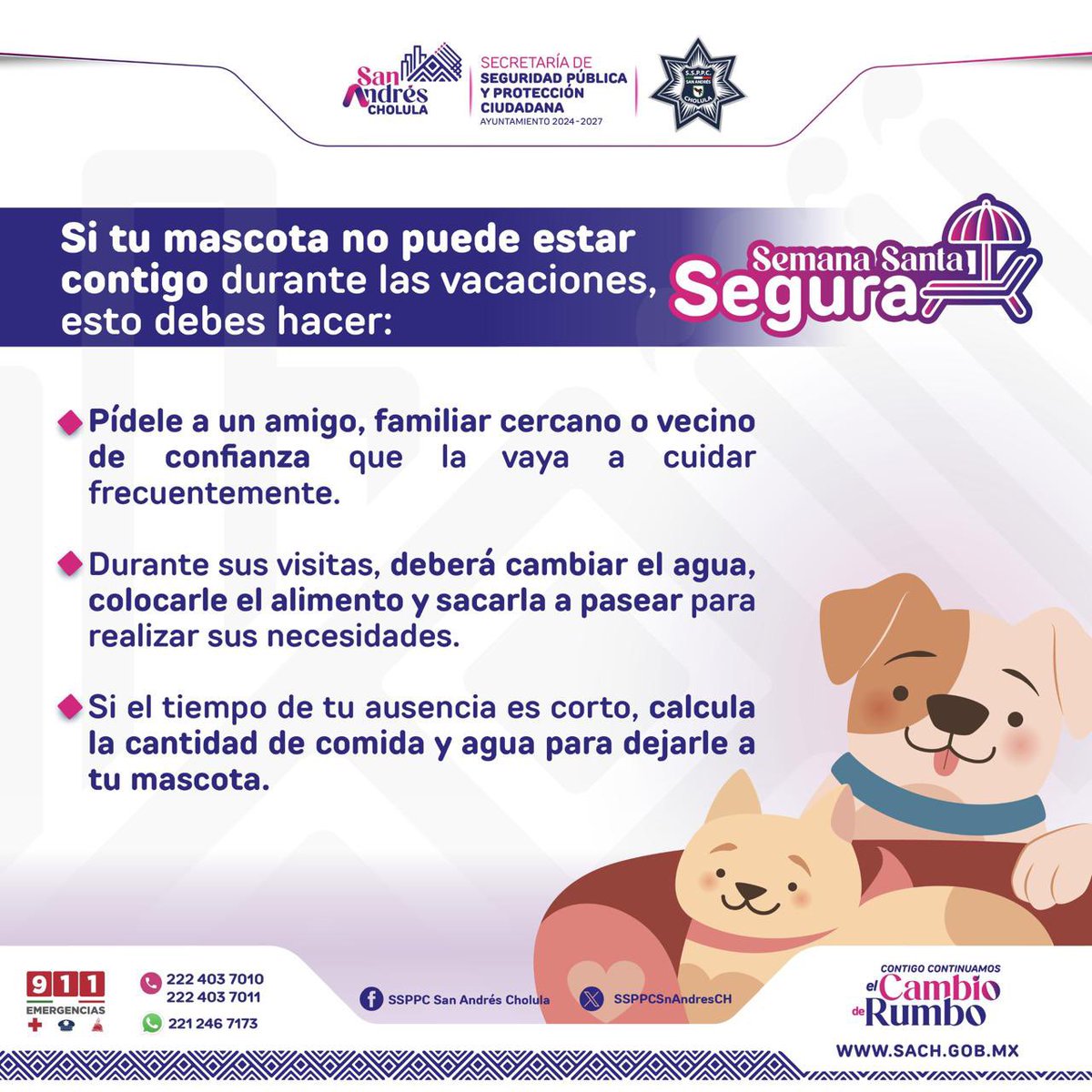 SSPPC San Andrés Cholula tweet media