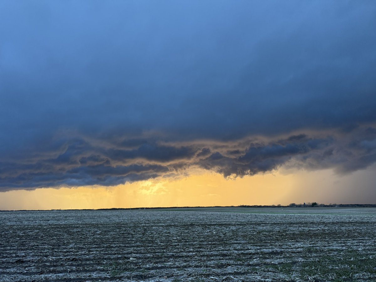 Alex Zielinski tweet media