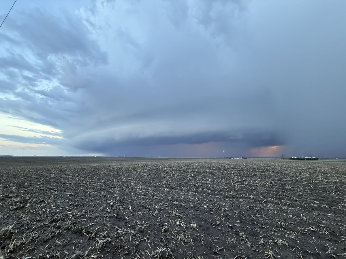 Alex Zielinski tweet media