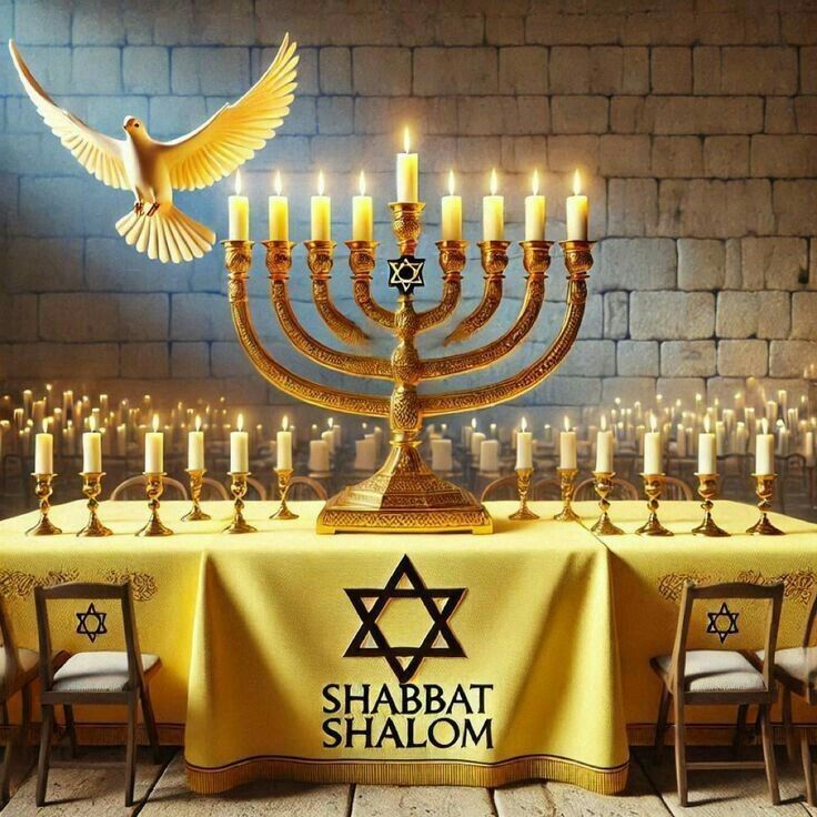 David Rot_Kfir 🇮🇱 tweet media