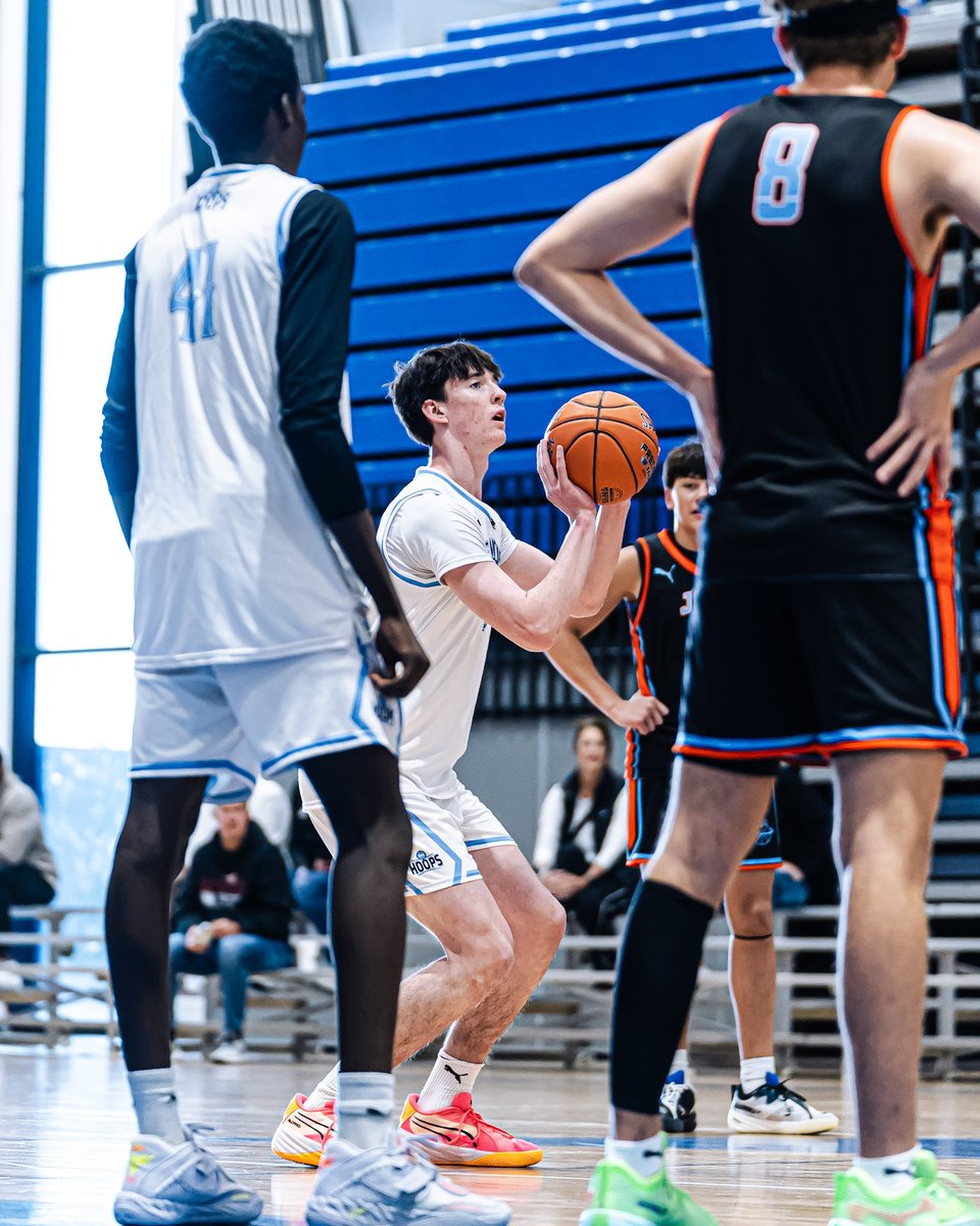 816 Hoops tweet media