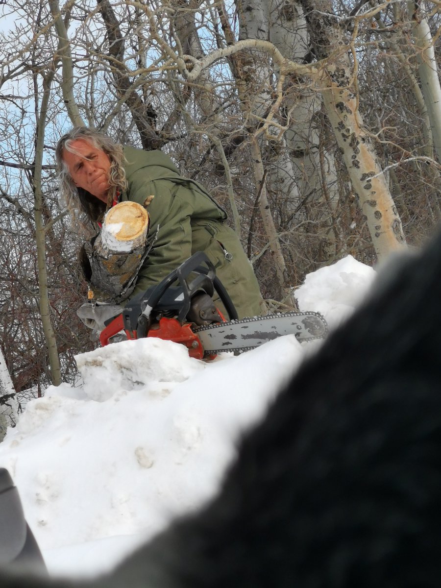 ☯️ Entity of Life ☯️ tweet media