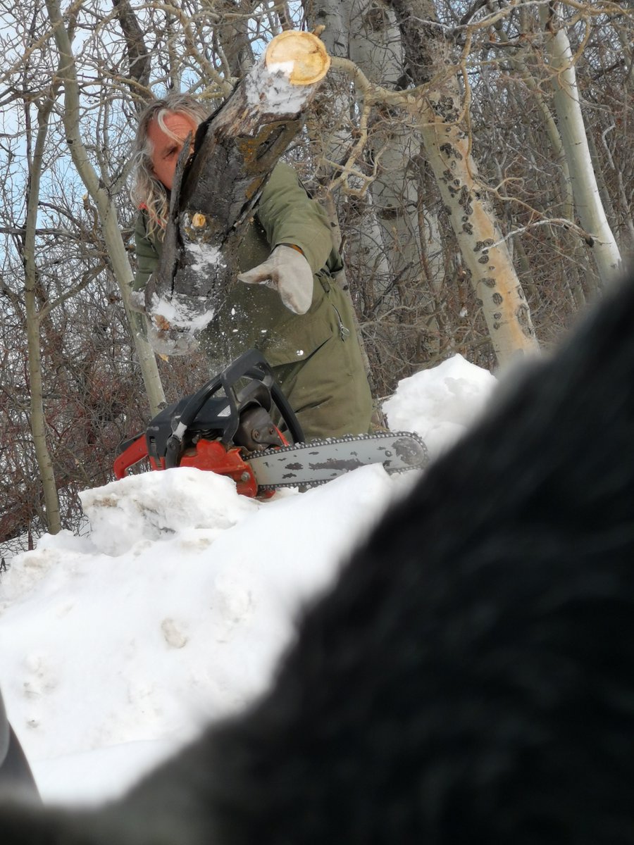 ☯️ Entity of Life ☯️ tweet media